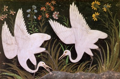 Twee Kraanvogels aan de Rand van een Vijver door Indian School